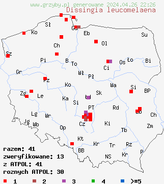 znaleziska Dissingia leucomelaena na terenie Polski