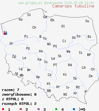 znaleziska Camarops tubulina (podusznik rurkowaty) na terenie Polski