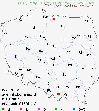 znaleziska Tolypocladium rouxii na terenie Polski