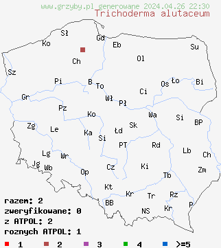 znaleziska Trichoderma alutaceum na terenie Polski