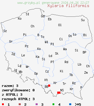 znaleziska Xylaria filiformis na terenie Polski