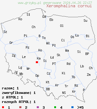 znaleziska Xeromphalina cornui (pÄ™powniczka torfowcowa) na terenie Polski