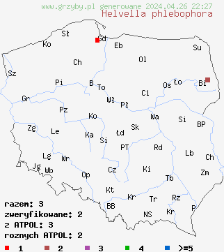 znaleziska Helvella phlebophora na terenie Polski