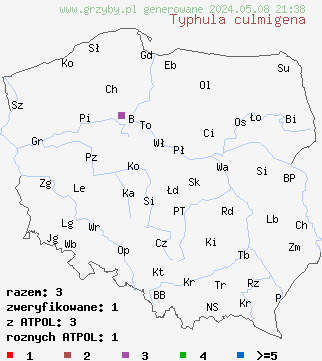 znaleziska Typhula culmigena na terenie Polski