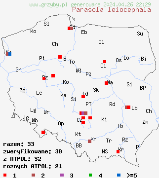 znaleziska Parasola leiocephala na terenie Polski