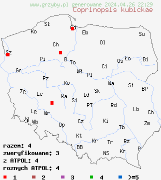 znaleziska Coprinopsis kubickae na terenie Polski