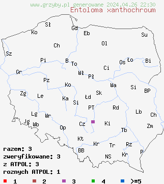 znaleziska Entoloma xanthochroum na terenie Polski