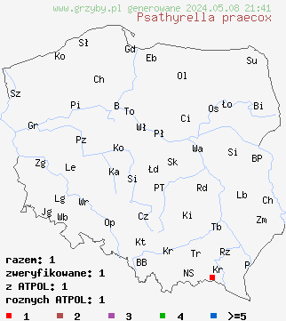 znaleziska Psathyrella praecox na terenie Polski
