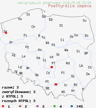znaleziska Psathyrella impexa (kruchaweczka różowawa) na terenie Polski