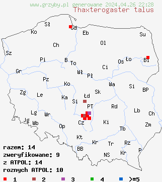 znaleziska Cortinarius talus na terenie Polski