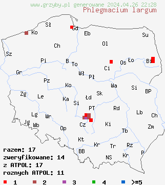 znaleziska Cortinarius largus na terenie Polski