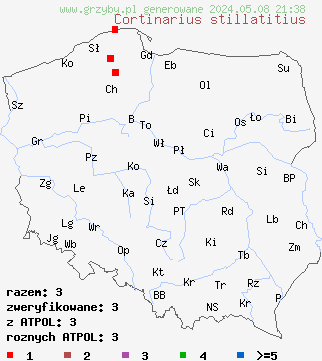 znaleziska Cortinarius stillatitius na terenie Polski