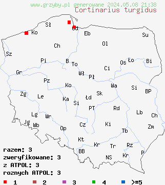 znaleziska Cortinarius turgidus na terenie Polski