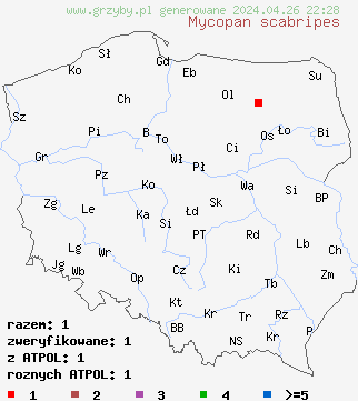 znaleziska Mycopan scabripes na terenie Polski