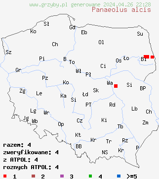 znaleziska Panaeolus alcis na terenie Polski