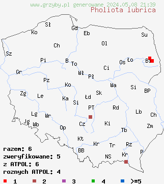 znaleziska Pholiota lubrica na terenie Polski