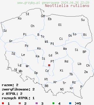 znaleziska Neottiella rutilans na terenie Polski