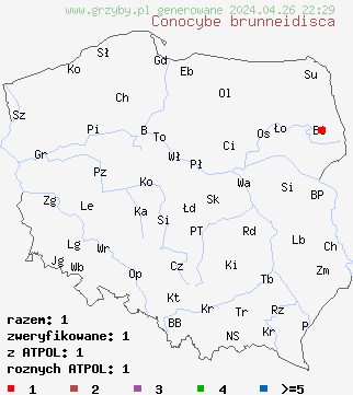 znaleziska Conocybe brunneidisca na terenie Polski