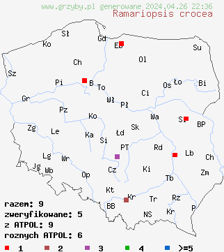 znaleziska Ramariopsis crocea na terenie Polski
