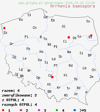 znaleziska Arrhenia baeospora na terenie Polski