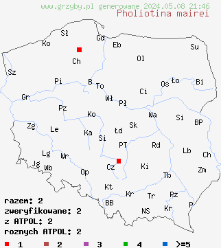 znaleziska Pholiotina mairei (stożkówka włochata) na terenie Polski