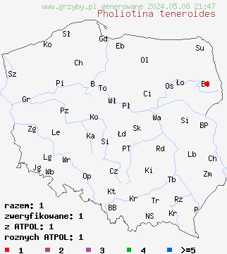 znaleziska Pholiotina teneroides (stożkówka wysmukła) na terenie Polski