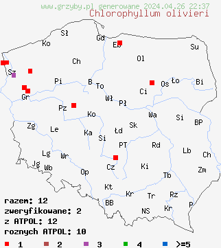 znaleziska Chlorophyllum olivieri na terenie Polski