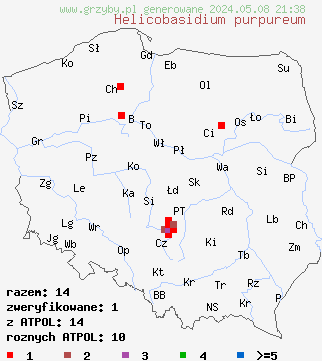 znaleziska Helicobasidium purpureum (skrętniczka purpurowa) na terenie Polski