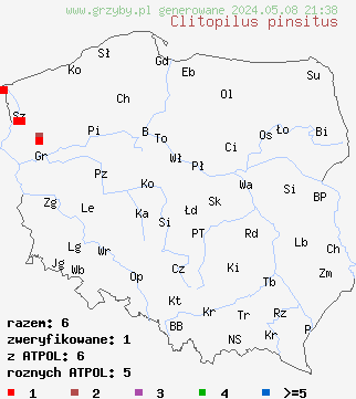 znaleziska Clitopilus pinsitus (bruzdniczek krótkotrzonowy) na terenie Polski