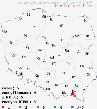 znaleziska Amanita ceciliae na terenie Polski