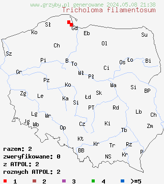 znaleziska Tricholoma filamentosum na terenie Polski