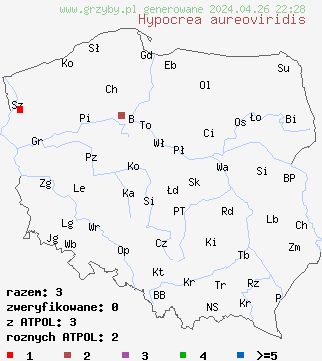 znaleziska Hypocrea aureoviridis na terenie Polski