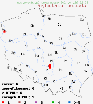 znaleziska Amylostereum areolatum na terenie Polski