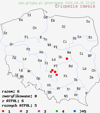 znaleziska Eriopezia caesia na terenie Polski