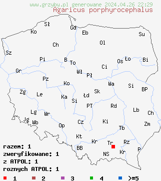 znaleziska Agaricus porphyrocephalus na terenie Polski