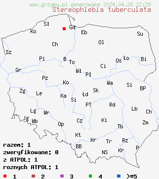 znaleziska Phlebia tuberculata na terenie Polski