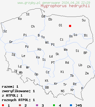 znaleziska Hygrophorus hedrychii na terenie Polski