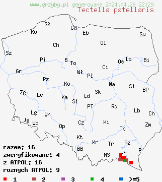 znaleziska Tectella patellaris na terenie Polski