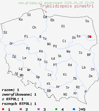 znaleziska Tryblidiopsis pinastri na terenie Polski
