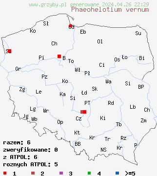 znaleziska Phaeohelotium vernum na terenie Polski