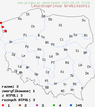 znaleziska Leucocoprinus brebissonii na terenie Polski