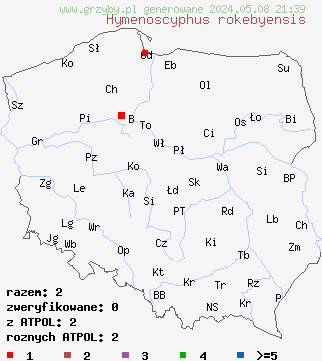 znaleziska Hymenoscyphus rokebyensis na terenie Polski