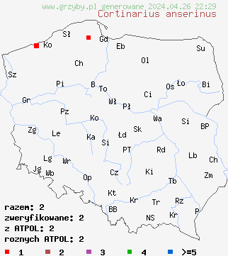 znaleziska Cortinarius anserinus na terenie Polski