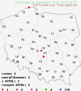 znaleziska Cortinarius fusisporus na terenie Polski