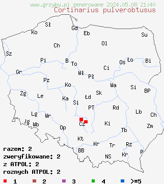 znaleziska Cortinarius pulverobtusus na terenie Polski