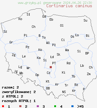 znaleziska Cortinarius caninus na terenie Polski