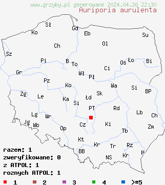 znaleziska Auriporia aurulenta na terenie Polski