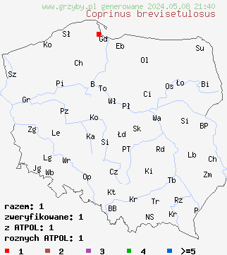 znaleziska Coprinus brevisetulosus na terenie Polski
