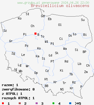 znaleziska Brevicellicium olivascens na terenie Polski