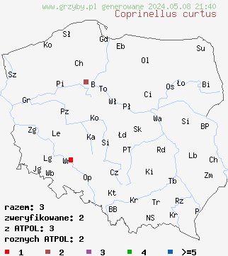 znaleziska Coprinellus curtus (czernidłak czerwonobrązowy) na terenie Polski